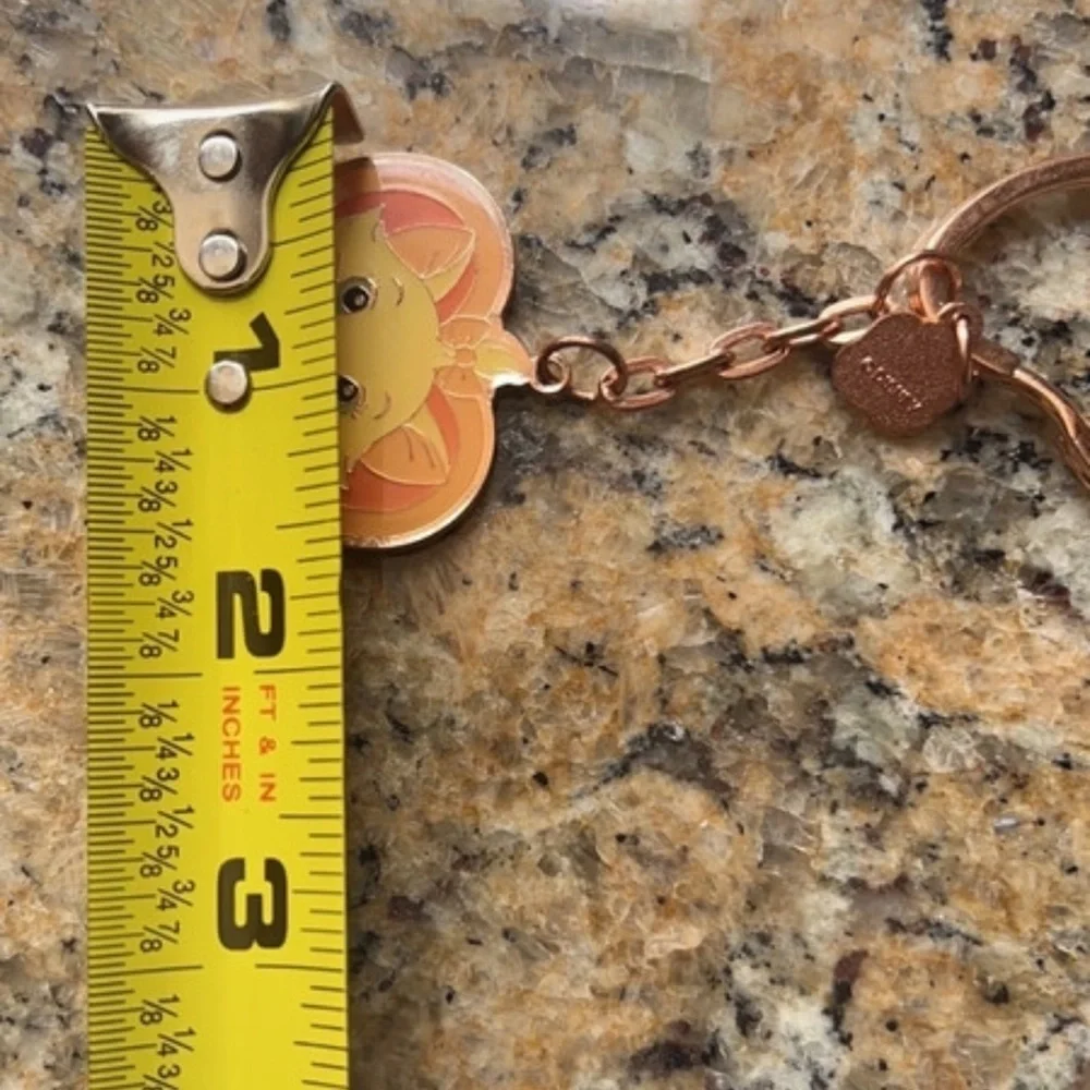 Disneyland Hong Kong keychain